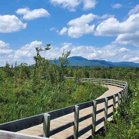 Etoile Bleue Beach Bike Shops Magog-Orford Daire Dış mekan fotoğraf