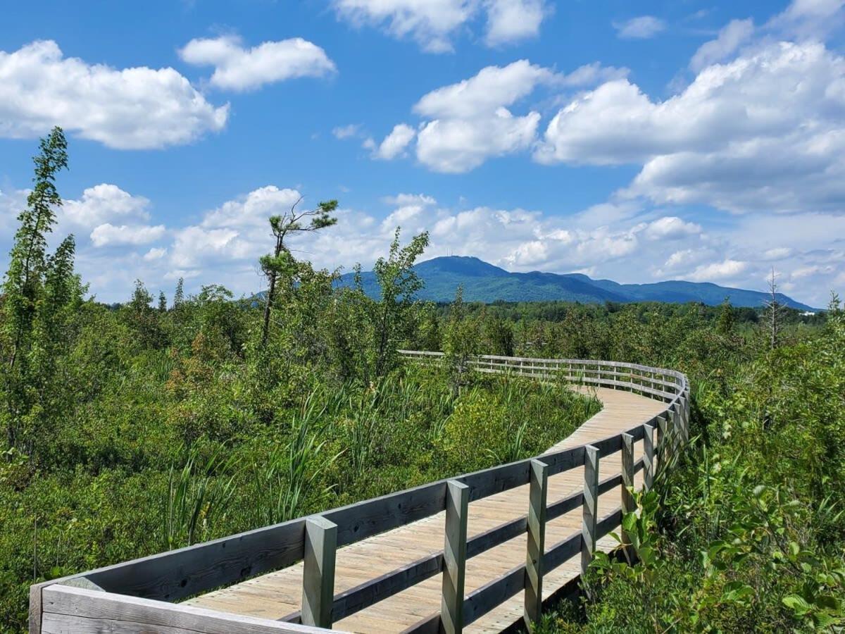 Etoile Bleue Beach Bike Shops Magog-Orford Daire Dış mekan fotoğraf